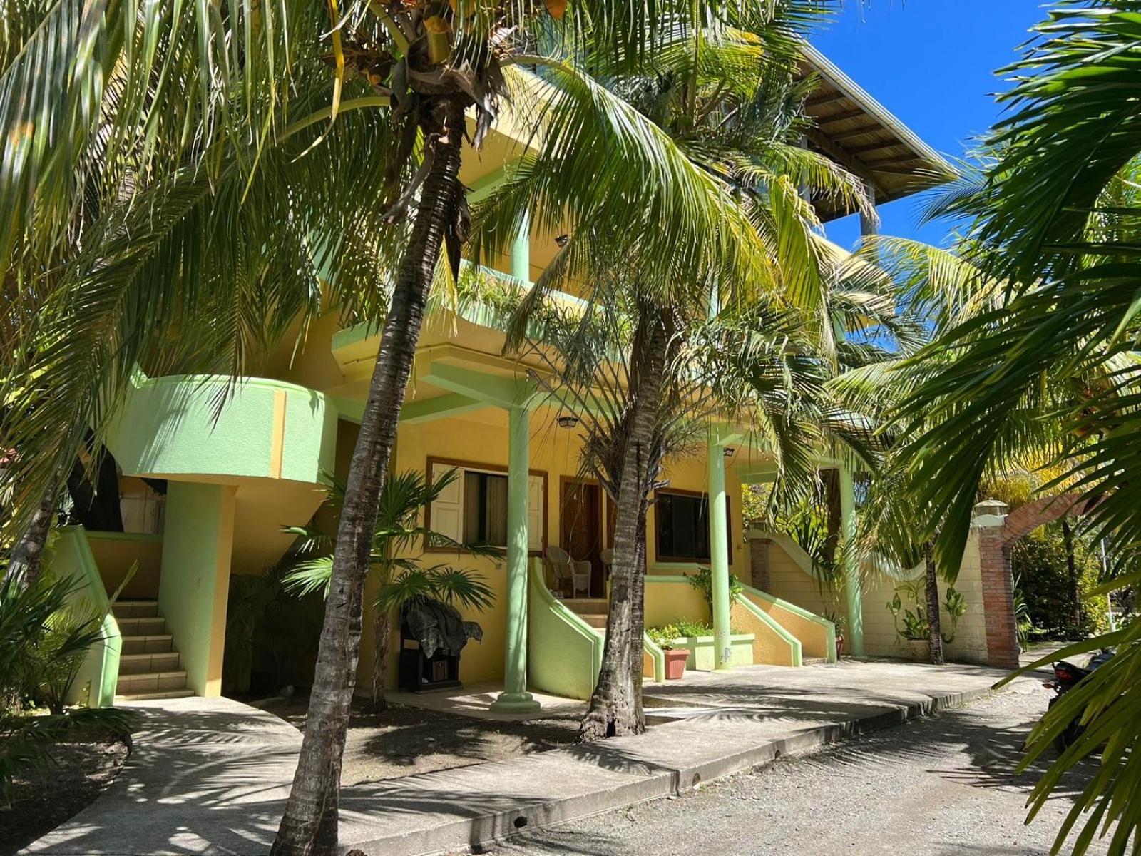 Sea Eye Hotel - Tropical Building Útila Eksteriør billede
